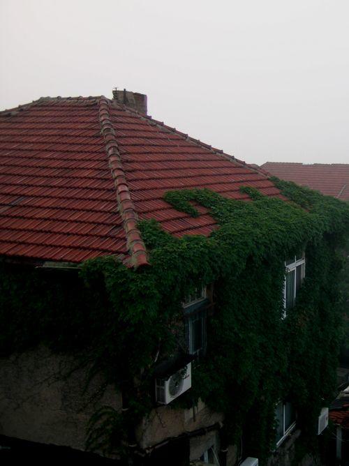 老屋周克武阅读答案-周克武《老屋》答案