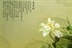 时光许昌群