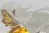 动漫ACG