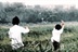 时光乱逛