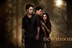 Twilight Saga