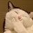 。odoo
