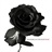 chun_33