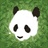 熊猫在中国 1557317