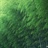 我心遗忘的节奏