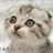 caat