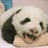 xiaopeng36