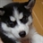 Amily