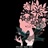 shadow 1580387