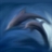 haitundeweixiao