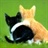 青猫