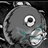 GrayCat