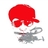 Mr袜