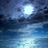 long 1658905