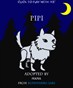 pipi is wolf