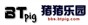 猪猪乐园