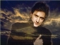 Armitage Army