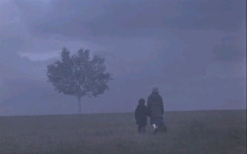 在路上看《雾中风景》 – 《雾中风景》影评