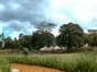 Out Of Africa