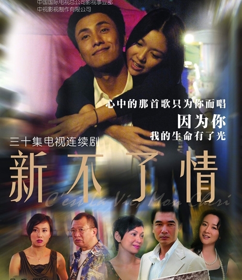 电视剧《新不了情》海报