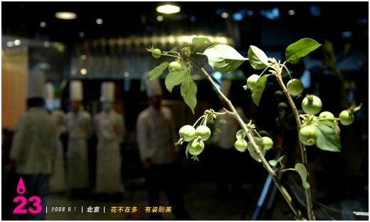 花不在多,有姿则美