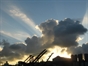 墨水林