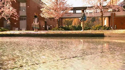 《蜂蜜与四叶草》第一集 日剧进行时 电影