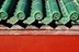 北京土著