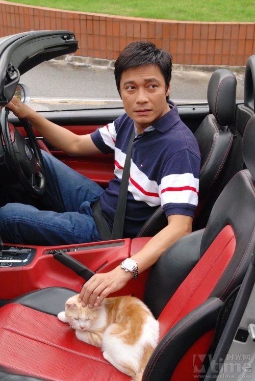 当狗爱上猫 - 《当狗爱上猫》剧评- Mtime时光