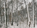 Emancipator -《Soon It Will Be 