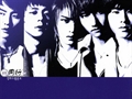 东方神起《Purple Line》
