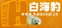 白海豹真人秀资讯站