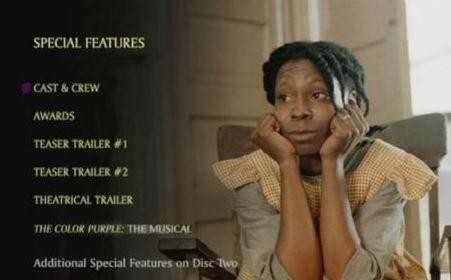 《<em>紫色姐妹花</em>》