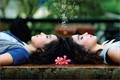 想看的电影