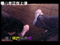 mop空间