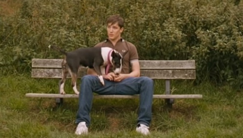 《性的本质》平淡中耐人寻味 孤独男女的集合广场 电影