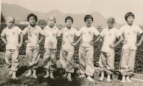 香港影武者元班人马