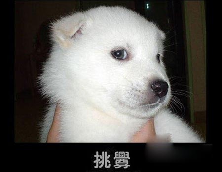 一个在逃犯的震撼自白(组图) 我爱小说 电影