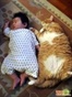 猫猫