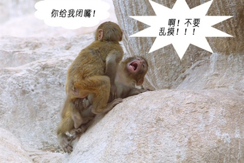 <em>性爱</em>初体验(组图) 非正常人类研究中心 <em>电影</em>