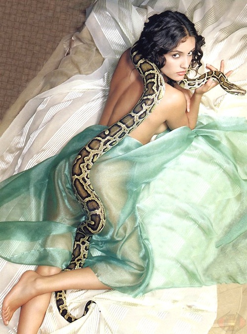 今天搬图之另发一帖~ 蛇美人