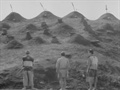 关注单元5