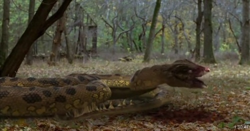 对电影《狂蟒之灾4》的一句话影评 恐怖王朝