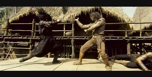 《洪熙官》(1977):虎痴人生(组图) 邵氏出品 电