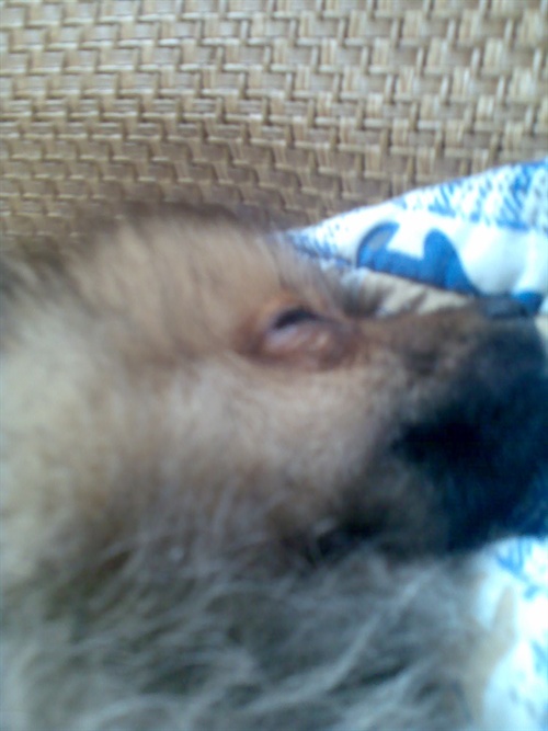 班尼路童装_班尼路一年收入(2)