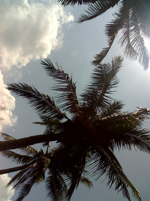 记:不一样的五一,我们拥抱阳光 音乐不说话 电影