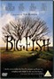 Big Fish  大鱼