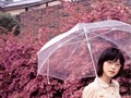 我看日本映画