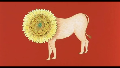 《花火》--带着光明的追求走向死亡