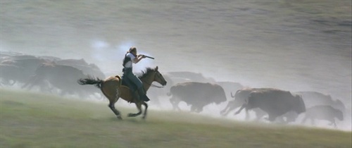 《与狼共舞》是这样一部片子(组图)